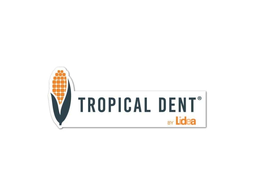 Tropical Dent